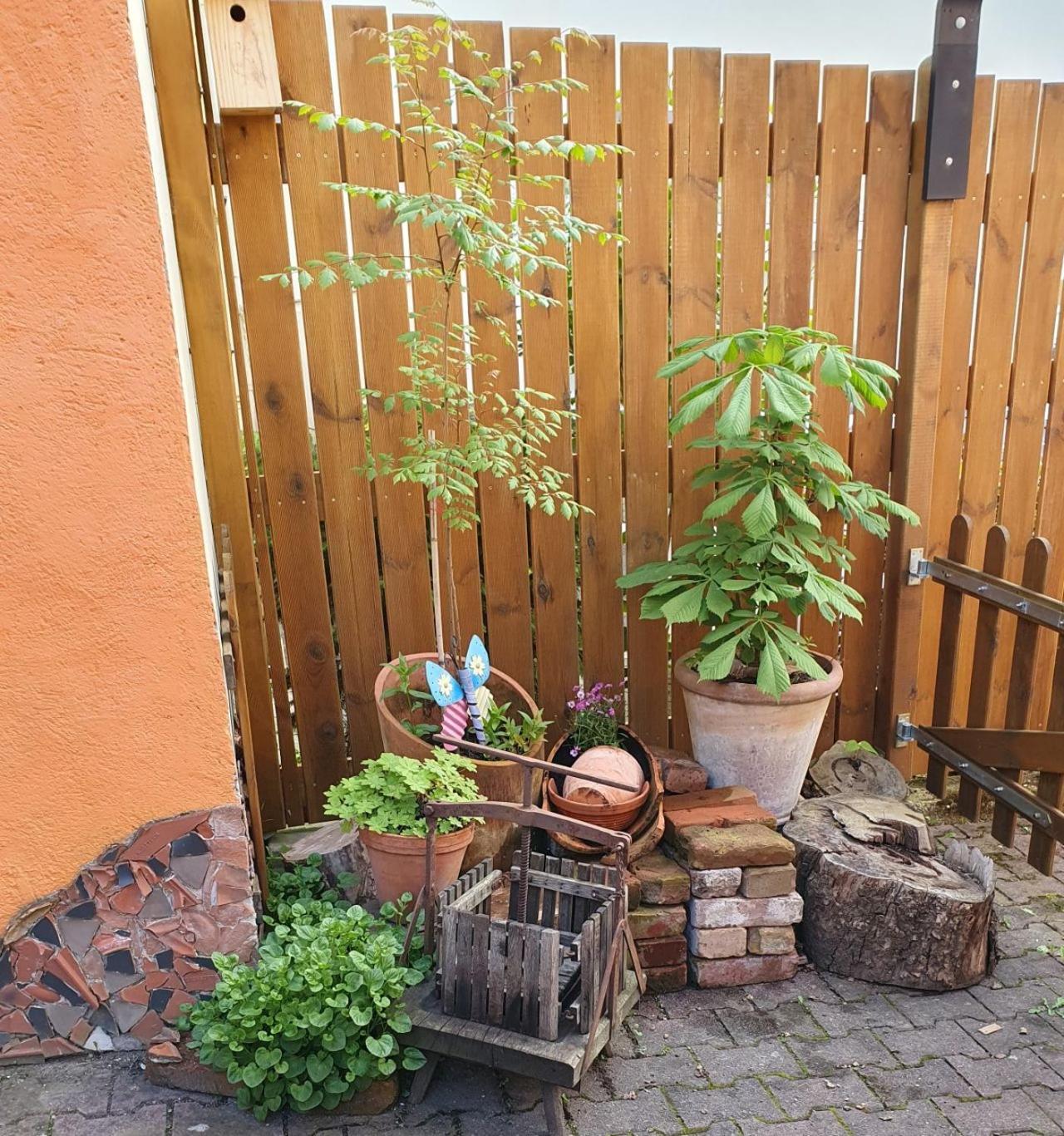 Villa Haus Zwanzig Weisel Exterior foto